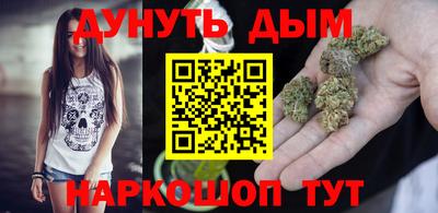 сатива Бердск