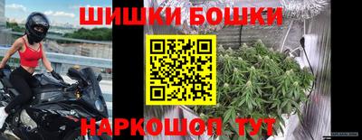 прущие грибы Белорецк